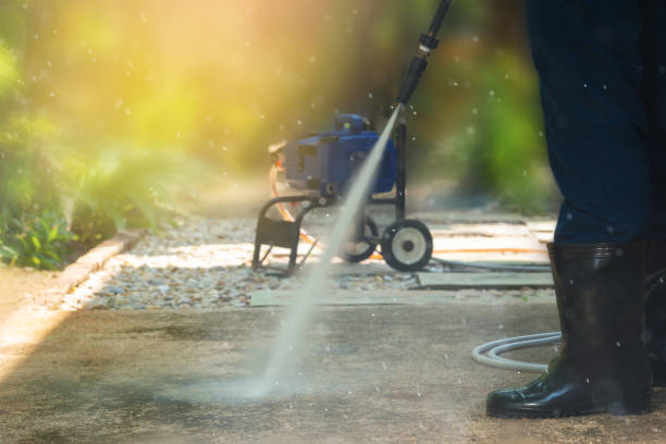 Best Rust Removal  in Fremont, MI